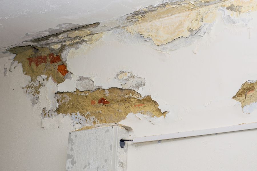 Cómo evitar destrozos de inquilinos